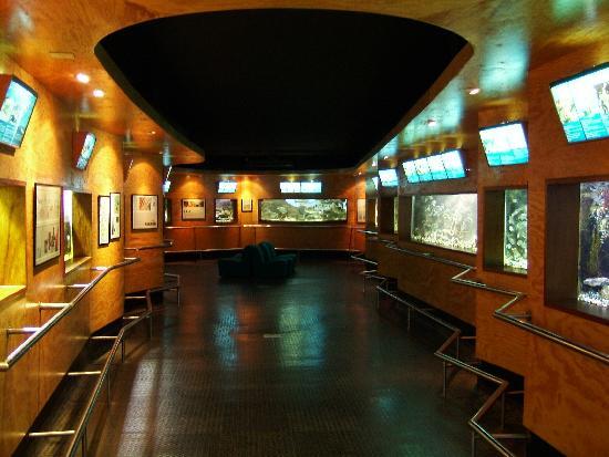 Estação Litoral da Aguda